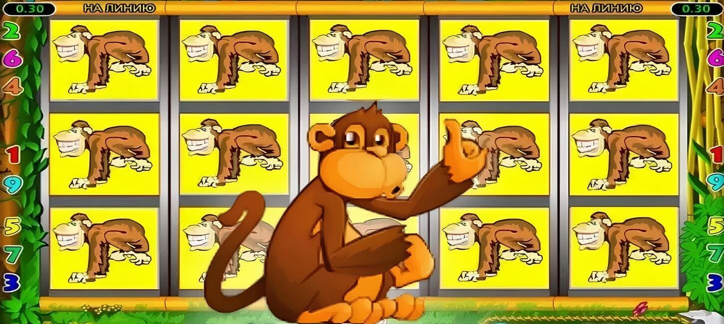 crazy-monkey-2-slot-bonus
